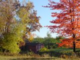 autumn icehouse